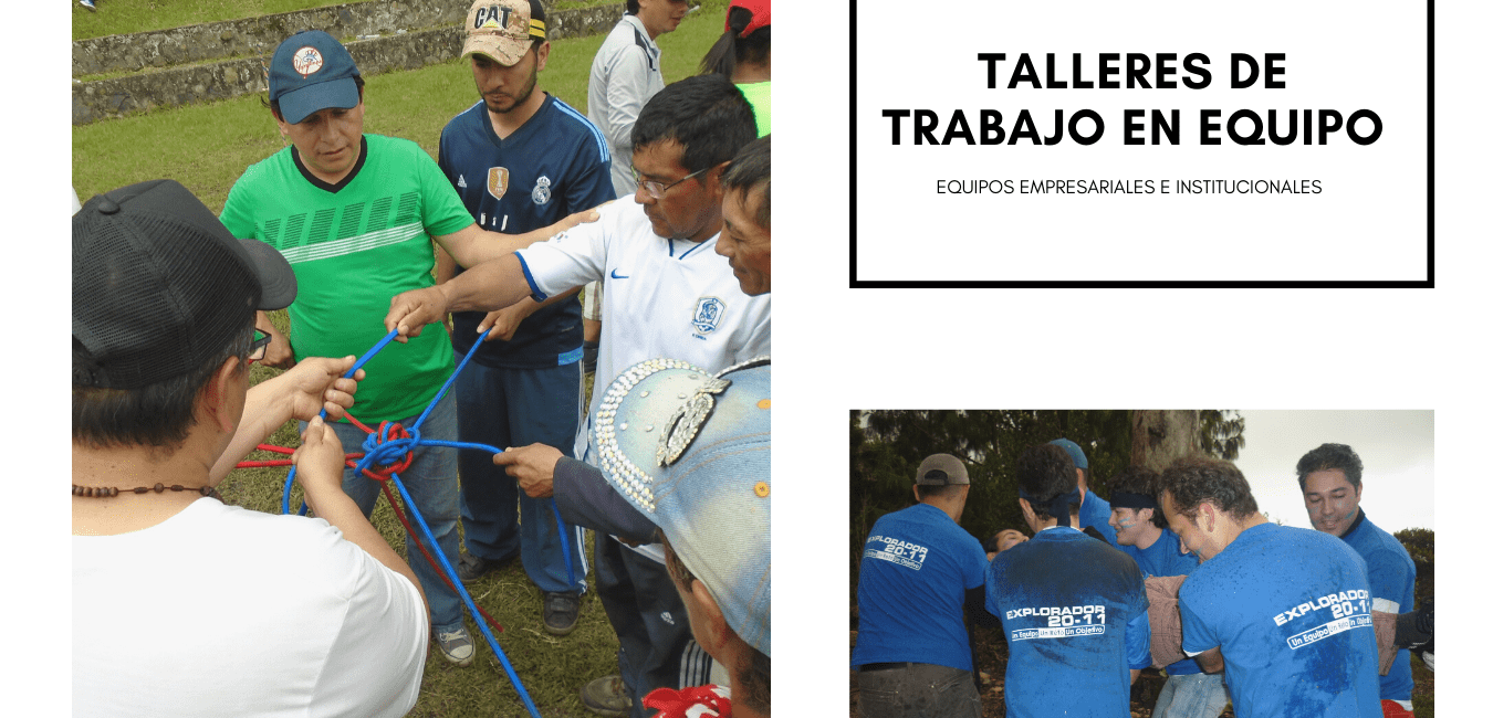 TALLERES DE TRABAJO EN EQUIPO